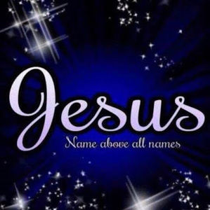 Meet your Posher, Bertha